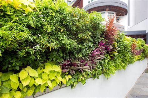 HyGro™ Wall: An Innovative Vertical Garden System | Vertical Green