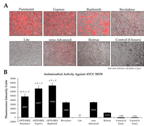 Evaluating Alternate Methods of Determining the Antimicrobial Efficacy ...