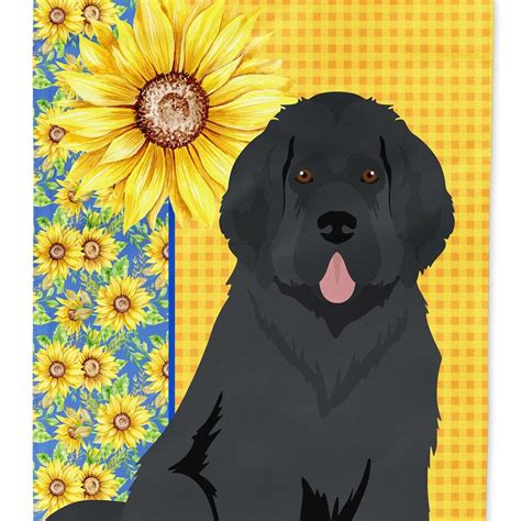 Edge Collections - 28" X 0" - Black - Summer Sunflowers Newfoundland ...