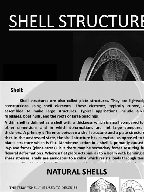 Image result for Structural Principles of Shell