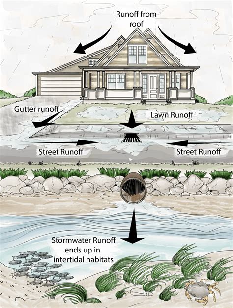 Nature-based Solutions to Manage Stormwater Runoff - Resilient Coasts ...
