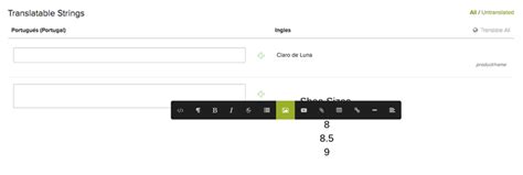 Translate Your Online Store