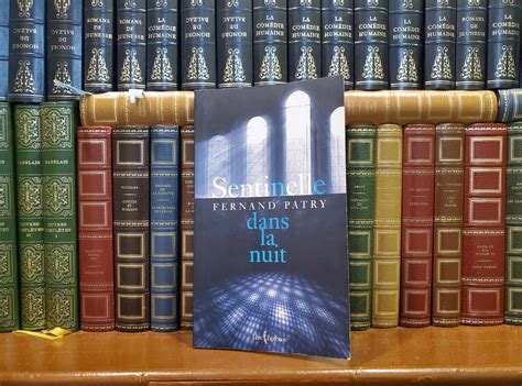 Centinela de la noche - Fondation Père Ménard