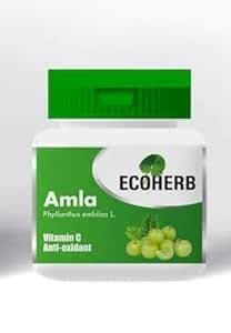 ECOHERB Amla Tablets | Pure herbs used, rich In Vitamin C, Protects ...