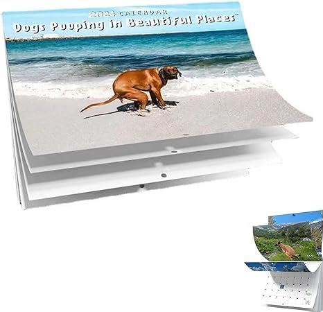 Pooping Puppies Dogs Pooping In Beautiful Places Calendar 2024 Humor ...