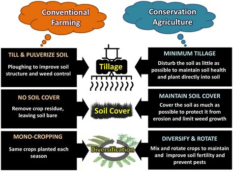 Crop Management Practices 的图像结果