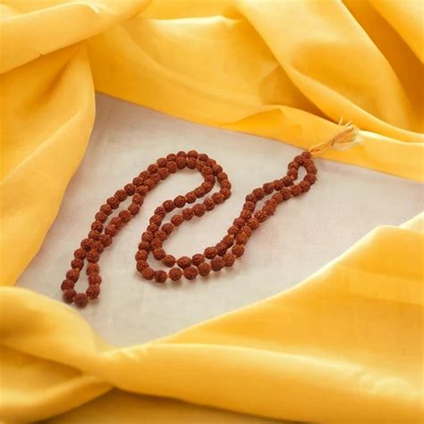 Certified Natural Brown Rudraksha 108 Beads Mala – dharmsaar