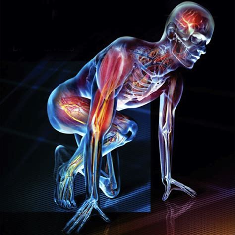🔥 [40+] Human Anatomy Wallpapers | WallpaperSafari