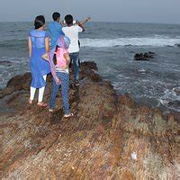 TENNETI PARK (2025) All You Need to Know BEFORE You Go (with Photos ...