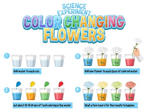 Image result for Color Changing Experiment