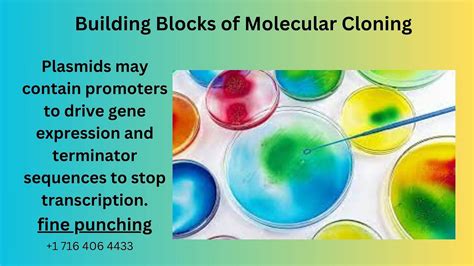 Makcode Cloning Blocks Using Coordinates 的图像结果