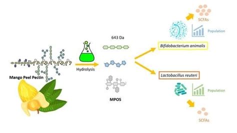 Crude Pectic Oligosaccharide Recovery from Thai Chok Anan Mango Peel ...