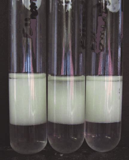 Image result for Emulsification Test Kit