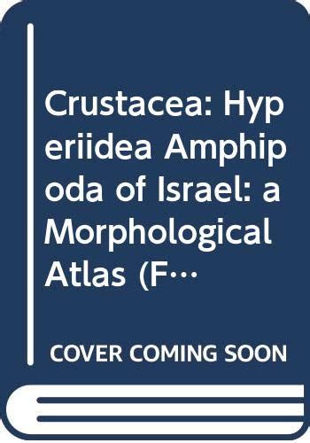 Buy Crustacea: Hyperiidea Amphipoda of Israel: a Morphological Atlas ...