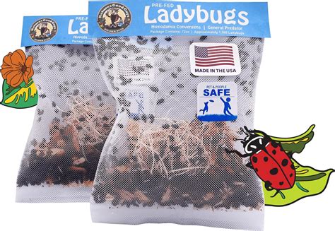 Amazon.com : NaturesArt 1500 Live Ladybugs - Good Bugs for Garden ...