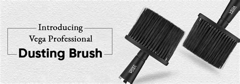 An introduction to Vega Professional Dusting Brush for the perfect clean