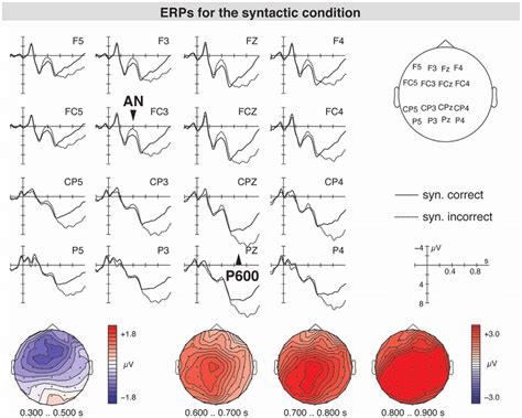 Syntactically Incorrect Sentence 的图像结果