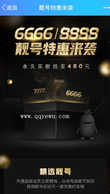 QQ靓号6666/8888特惠来袭 永久买断只要480元 - 最新活动 - QQ技术网