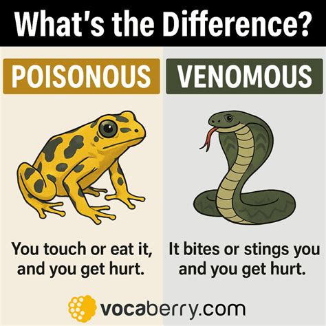 What Is The Difference In Venomous And Poisonous - Infoupdate.org