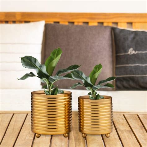 Planters Online: Buy Planters Online in India at Best Price 2025