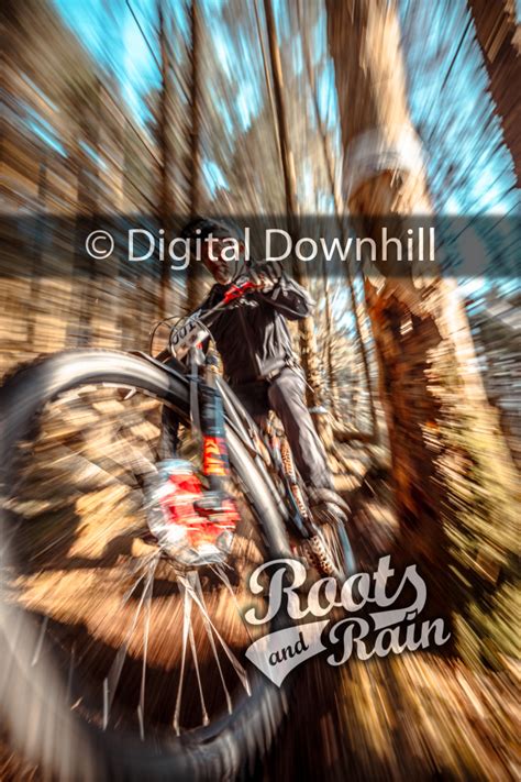 Dougie ADAMSON 1 - Roots & Rain