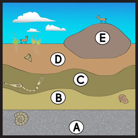 Section 2: Determining Ages of Rocks | NGS Magnified
