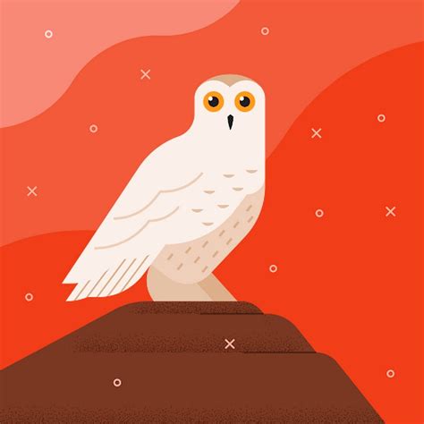 Explorer Channel 的图像结果