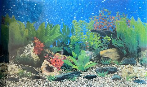 Fish Tank Background
