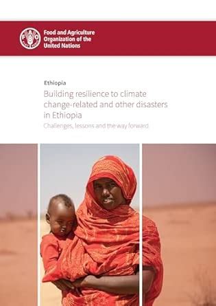 Buy Building resilience to climate change-related and other disasters ...