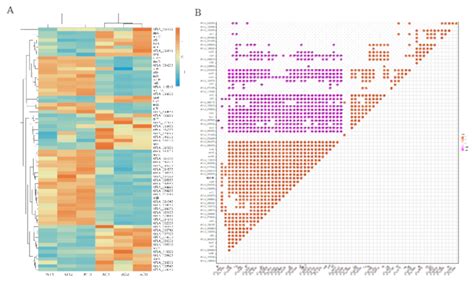 Transcriptome Sequencing Revealed an Inhibitory Mechanism of ...