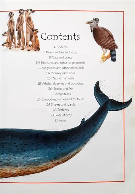 Questions And Answers Animals – Books and You