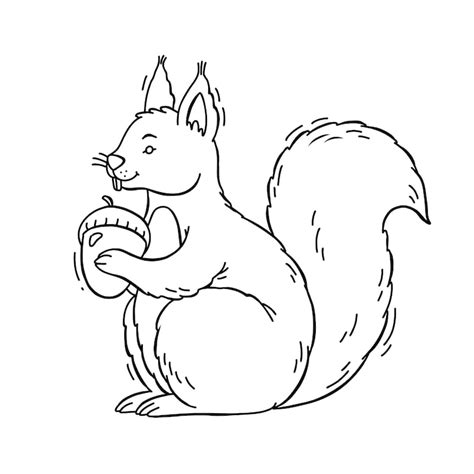 Squirrel drawing Images - Free Download on Freepik