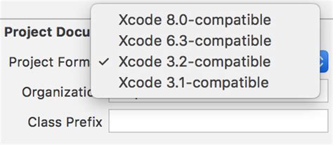Image result for Xcode Project Format