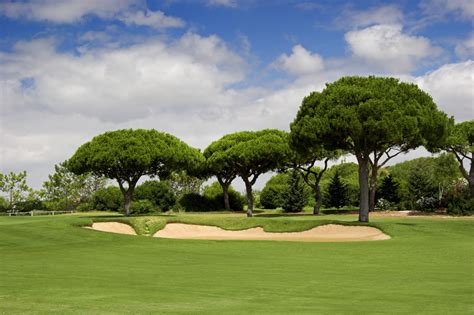 Golf Pics 的图像结果