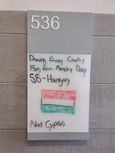 Drawing Every Flag in the World 的图像结果