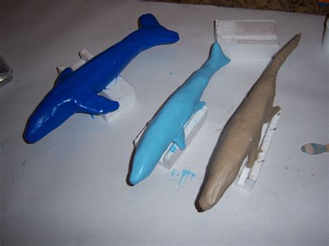 Image result for How to Take Study Models with Plaster Lab