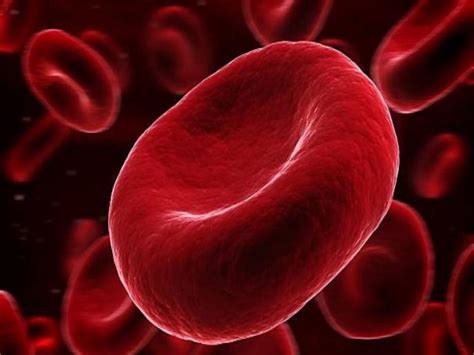Get Rid Iron deficiency anemia symptoms and causes best foods to ...
