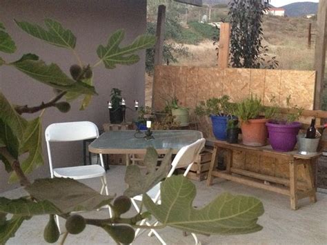 EL ESCONDITE (San Antonio de las Minas) - Guesthouse Reviews, Photos ...