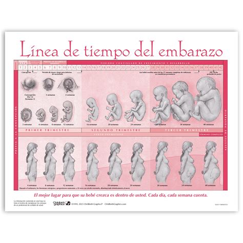 Pregnancy Test In Spanish Translation at Jerry Magnuson blog