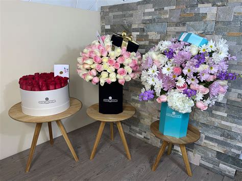 Image result for Coco Loco Cartoon