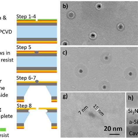 Image result for Quest BNP Process Lab
