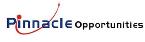 Pinnacle Opportunities - V V Ranganathan