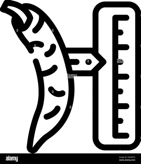 cayenne pepper spice scale line icon vector. cayenne pepper spice scale ...