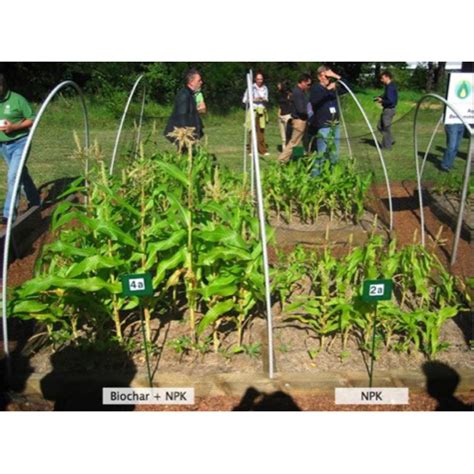 Wakefield 1 Cubic Foot Bag Premium Biochar Organic Pine Wood Garden ...