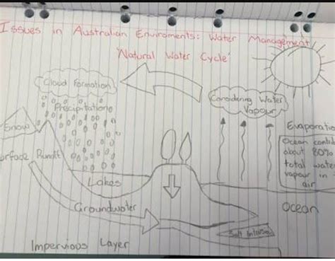 draw a neat labeled diagram of water cycle in nature - Brainly.in