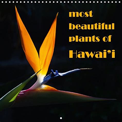 Buy Most Beautiful Plants of Hawai'i 2018: Endemic and Non-Endemic ...