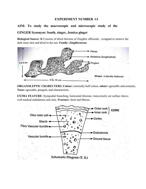 Practical Manual of Pharmacognosy Diploma in Pharmacy 1st year.pdf