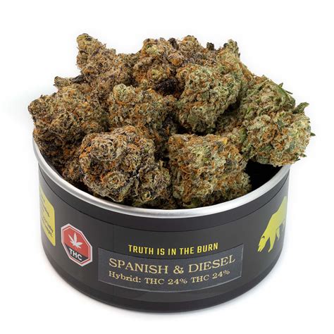 Spanish & Diesel - Day & Night Series - Skookum Cannabis