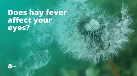 Hayfever And Eyes