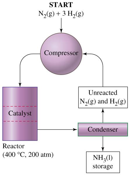 Image result for Haber Process Notes